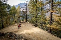 Colori d'autunno in Alpe Veglia