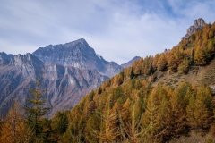 Colori d'autunno in Alpe Veglia