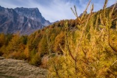 Colori d'autunno in Alpe Veglia