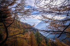 Colori d'autunno in Alpe Veglia