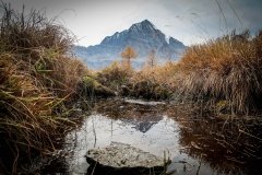 Colori d'autunno in Alpe Veglia