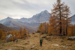 Colori d'autunno in Alpe Veglia