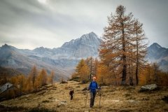 Colori d'autunno in Alpe Veglia