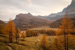 Colori d'autunno in Alpe Veglia