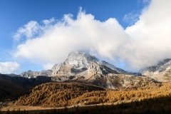 Colori d'autunno in Alpe Veglia