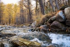 Colori d'autunno in Alpe Veglia