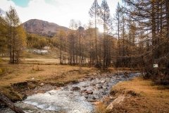 Colori d'autunno in Alpe Veglia