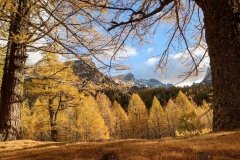 Colori d'autunno in Alpe Veglia