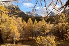 Colori d'autunno in Alpe Veglia