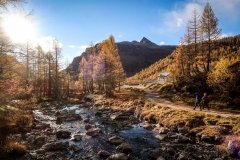 Colori d'autunno in Alpe Veglia