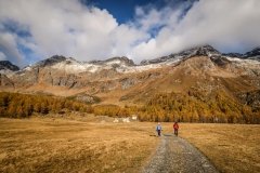 Colori d'autunno in Alpe Veglia