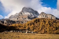 Colori d'autunno in Alpe Veglia