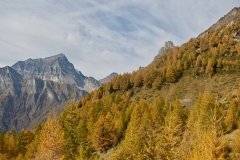 Colori d'autunno in Alpe Veglia