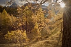 Colori d'autunno in Alpe Veglia