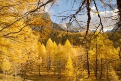 Colori d'autunno in Alpe Veglia