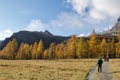 Colori d'autunno in Alpe Veglia