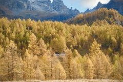 Colori d'autunno in Alpe Veglia