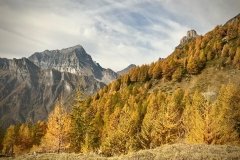 Colori d'autunno in Alpe Veglia