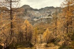 Colori d'autunno in Alpe Veglia