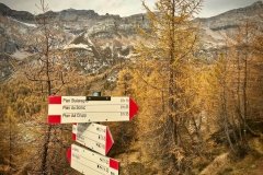 Colori d'autunno in Alpe Veglia