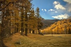 Colori d'autunno in Alpe Veglia