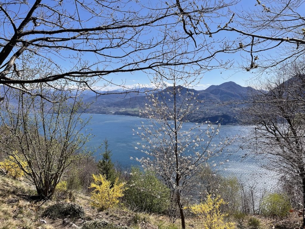 Punto Panoramico sul Lago Maggio da Belvedere Pollino